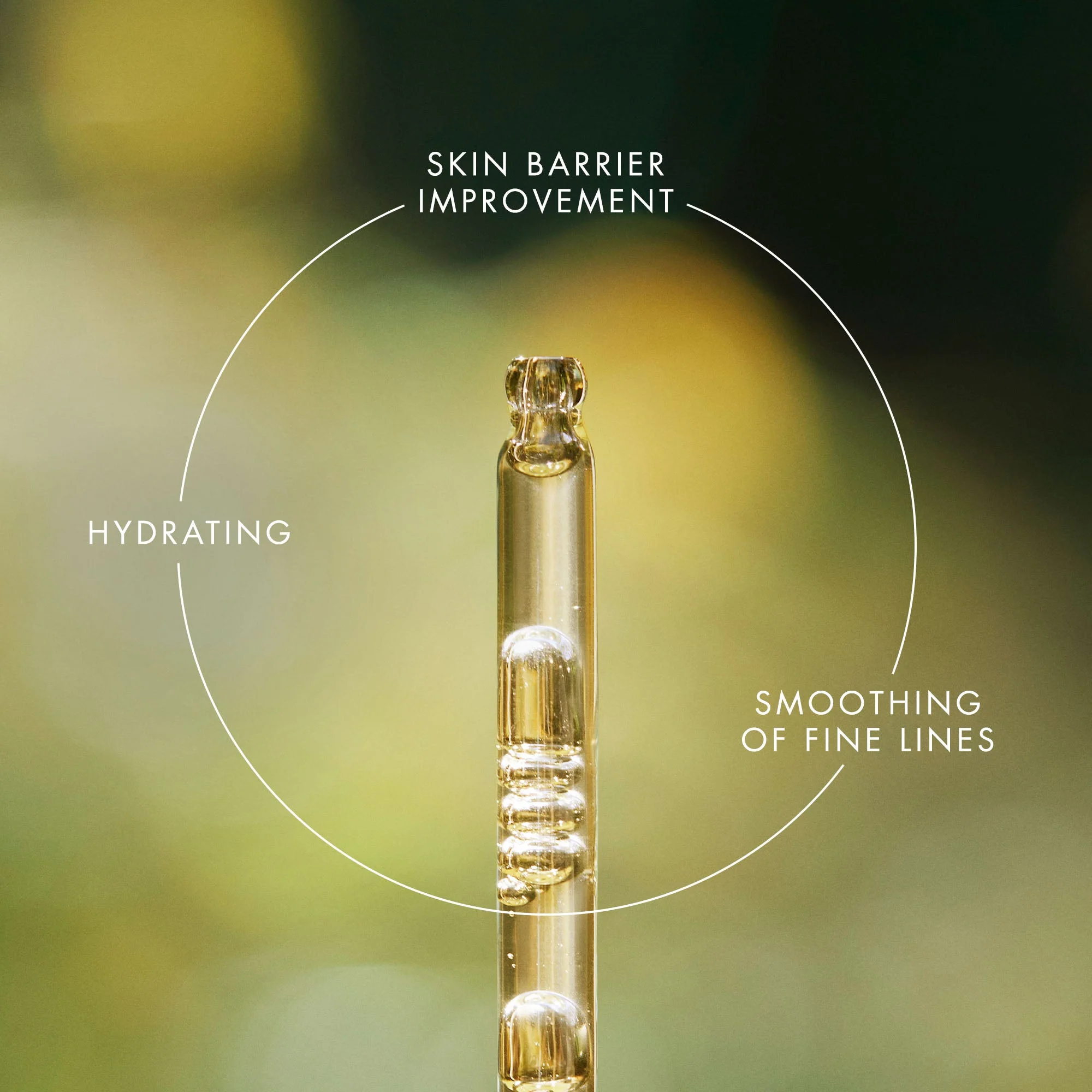 Renewal Treatment Oil - Image 3